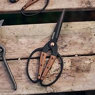 Image result for Barebones Garden Scissors
