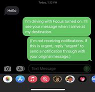 Image result for Auto Reply Text iPhone