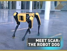 Image result for Robot That Looks Like a Dog