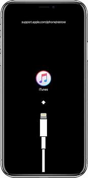 Image result for iPhone XS Max Recovery Mode