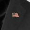 Image result for United States Flag Pin