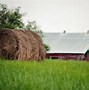 Image result for Summer Farm Scenes