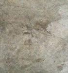 Image result for Grimy Cement Texture
