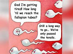 Image result for Sperm and Egg Meme