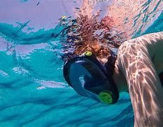Image result for iPhone Underwater Photography