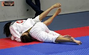 Image result for Female Judo Pin
