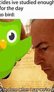Image result for Duolingo Memes Evil