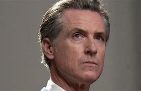 Image result for Gavin Newsom Cartoon