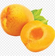 Image result for Dried Apricots Clip Art