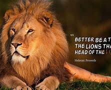 Image result for Animal Quotes Inspirational