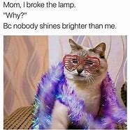Image result for Cat Meme Diva