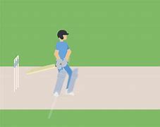 Image result for Cricket Pitch