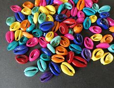 Image result for Exotic Shell Beads