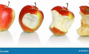 Image result for Evolution of Apple Tree