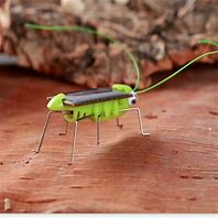 Image result for Grasshopper Toy