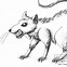 Image result for Evil Rat Line Art