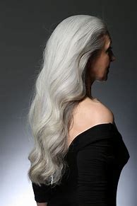 Image result for Elegant Gray Hair