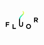 Image result for Fluor Safer Together Logo
