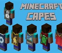 Image result for All Minecraft Cases