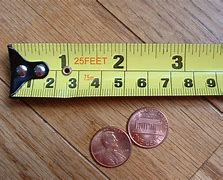 Image result for Things That Are 1 Cm Long