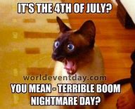 Image result for July 4th Meme Funny
