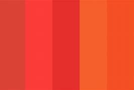 Image result for Blood Orange Color