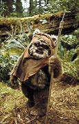 Image result for Return of the Ewok