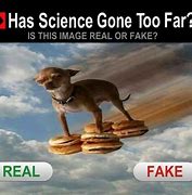 Image result for Meme About Riel or Fake
