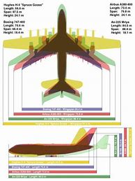Image result for Human Size Comparison Chart