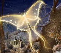 Image result for Mystical Butterflies