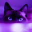 Image result for iPhone 12 for Kid Cat Purple
