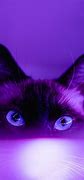 Image result for Purple Cat Face