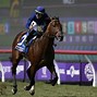 Image result for Race 10-Race 11 of the Breeders' Cup