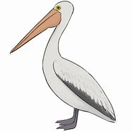 Image result for Pelican Outline