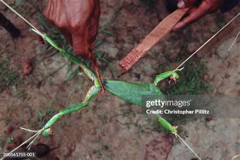 Image result for Alien Beading