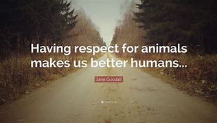 Image result for Animals Are Better than Certain Human Beimgs Quotes