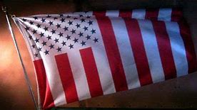 Image result for United States Civil Peace Flag