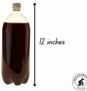 Image result for How Tall Is 12 Inches