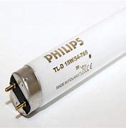 Image result for Philips 7136 Tube