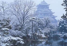 Image result for Osaka Castle Snow