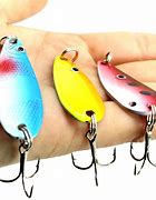 Image result for Salmon Fishing Tackle