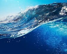 Image result for Clear Ocean Water 4K