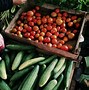 Image result for Farmers Market Pictures Free