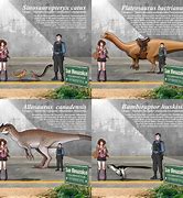 Image result for Dinosaur Size Comparison