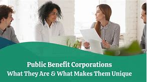Image result for Benefit Corporation Examples