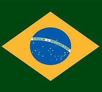 Image result for Brazil National Flag