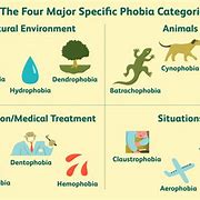 Image result for All Types of Phobias