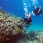 Image result for Dive Equipment