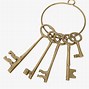 Image result for Single Key Ring Chain