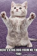 Image result for Cat You Want Hugs Go Buy a Dog Meme